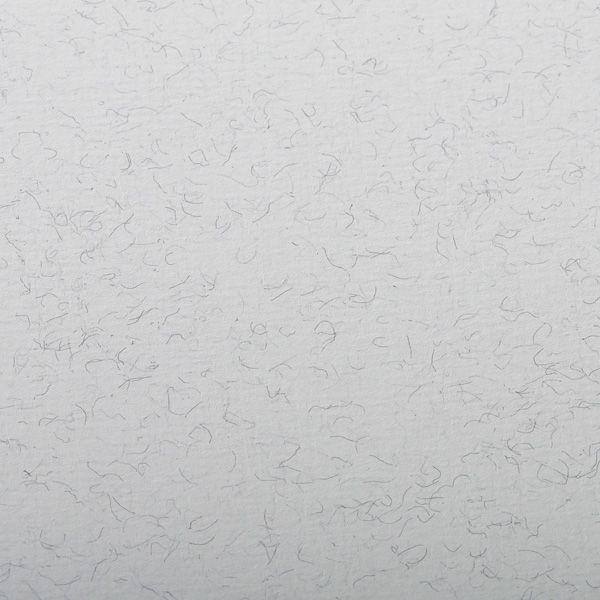 Feuille de papier pastel Ingres 50 x 65 cm 130g/m² Clairefontaine chez  Rougier & Plé