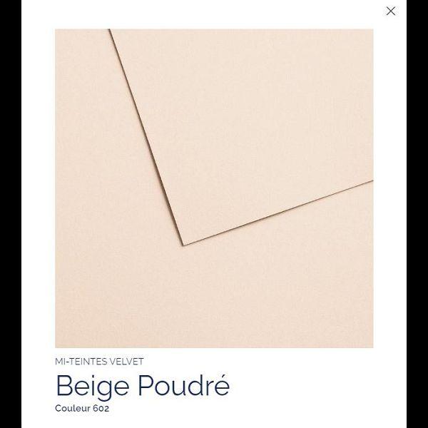 FEUILLE 430 G 50 X 65 BEIGE POUDRE 602