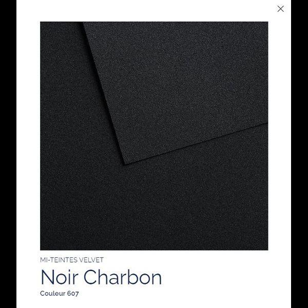 FEUILLE 430 G 50 X 65 NOIR CHARBON 607